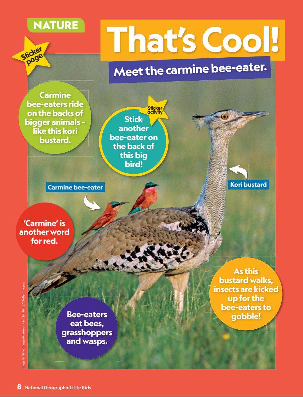 National Geographic Little Kids Preview Pages