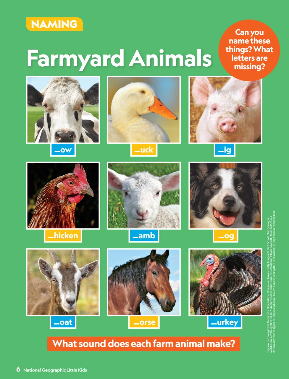 National Geographic Little Kids Preview Pages