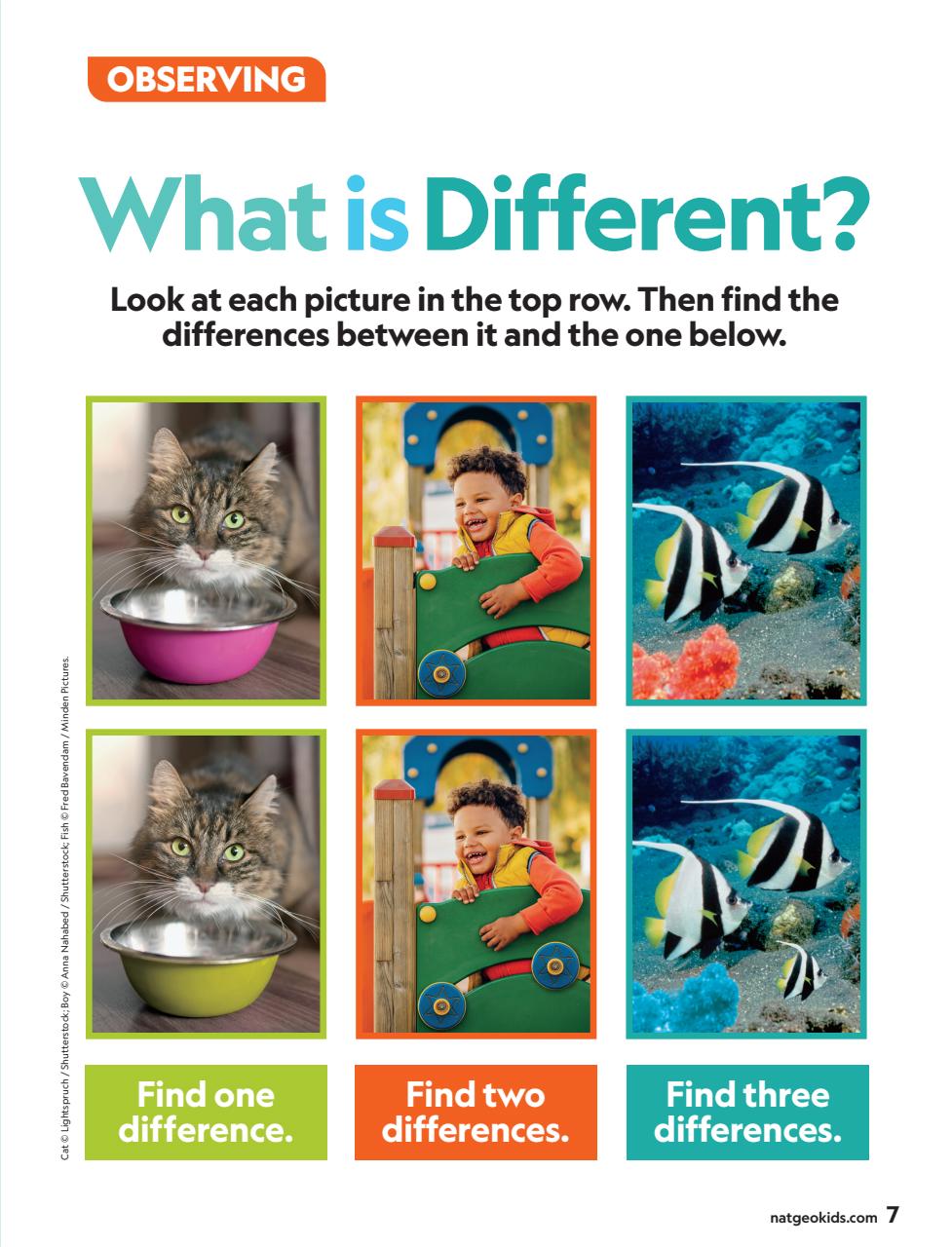 National Geographic Little Kids Preview Pages