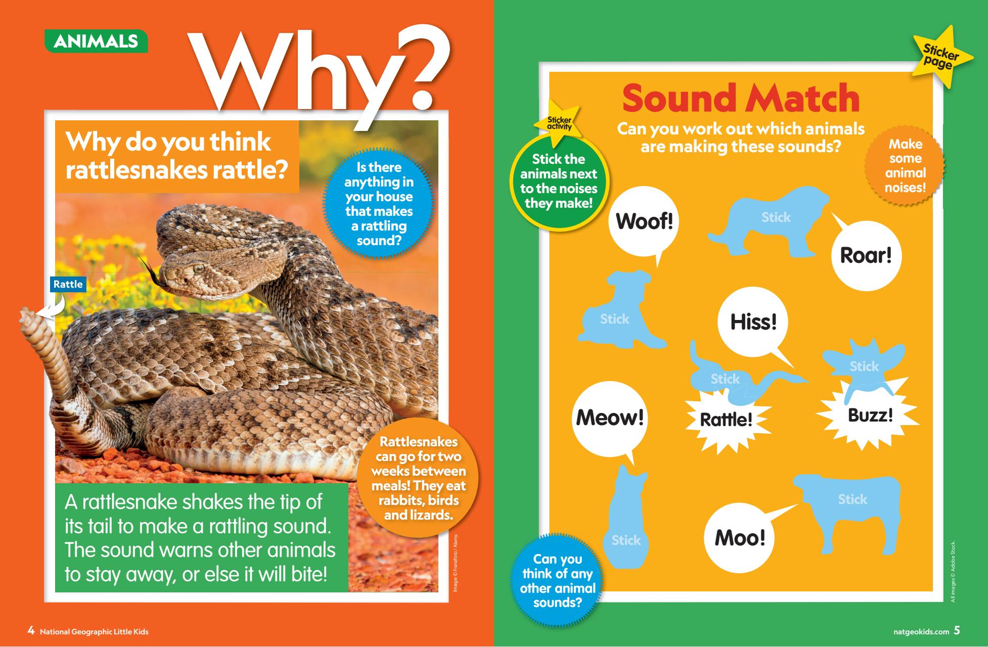 National Geographic Little Kids Preview Pages