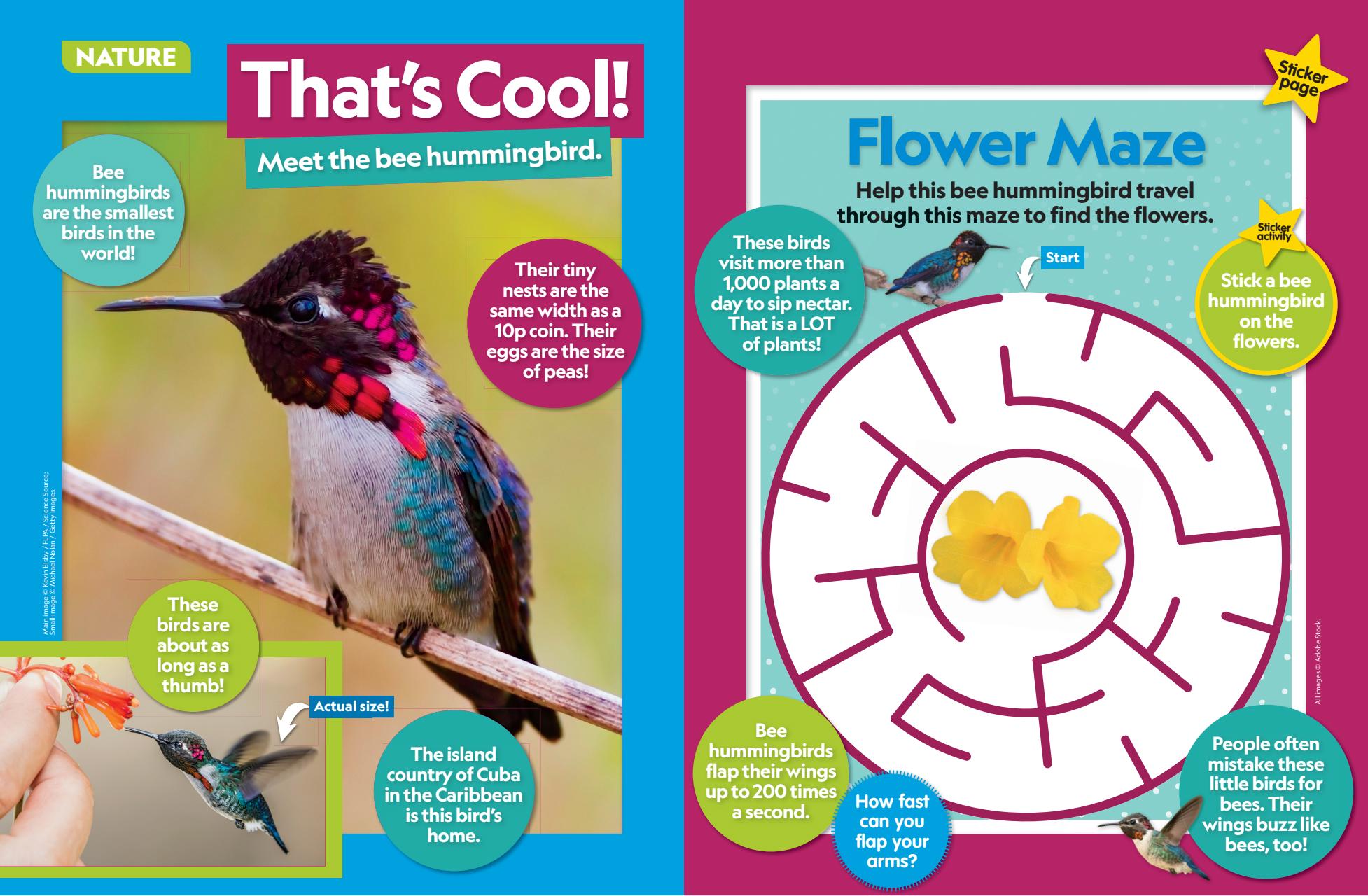 National Geographic Little Kids Preview Pages