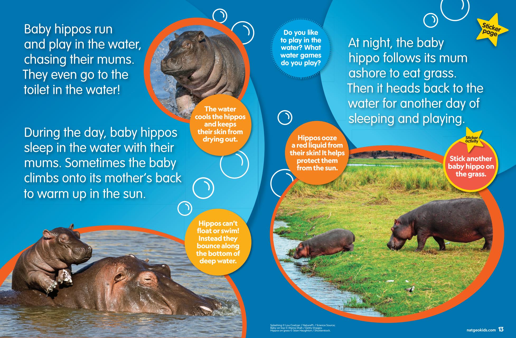 National Geographic Little Kids Preview Pages