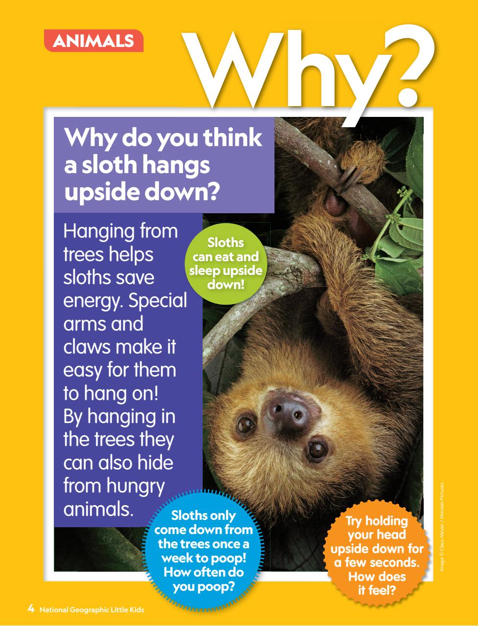 National Geographic Little Kids Preview Pages