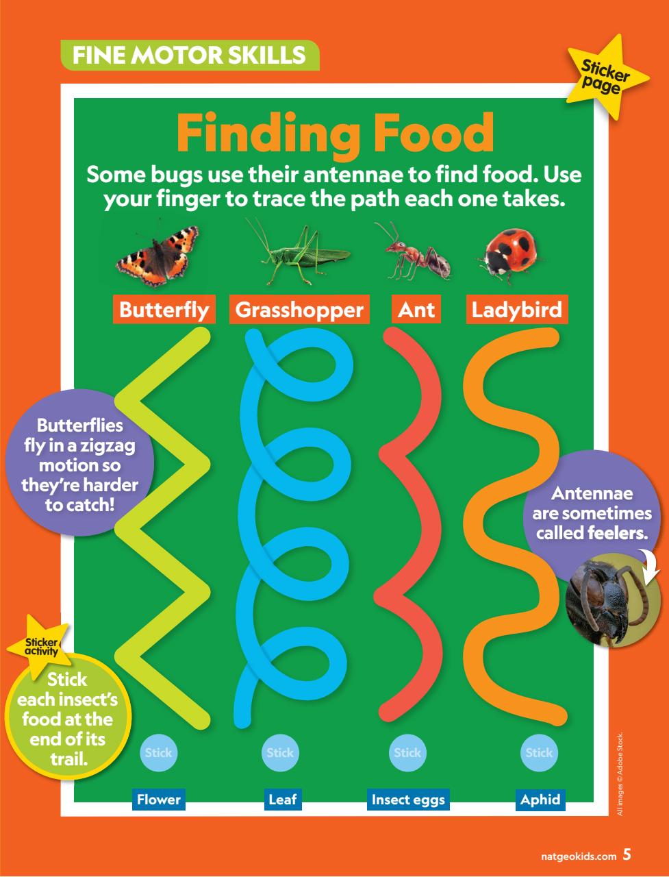 National Geographic Little Kids Preview Pages