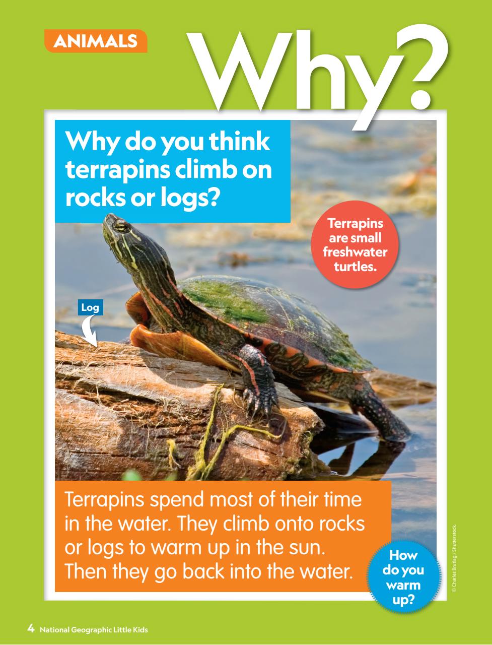 National Geographic Little Kids Preview Pages