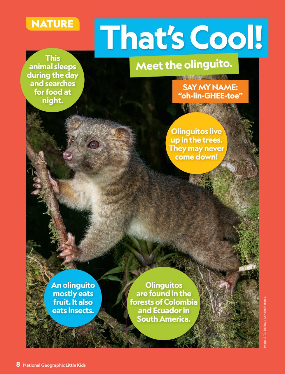 National Geographic Little Kids Preview Pages