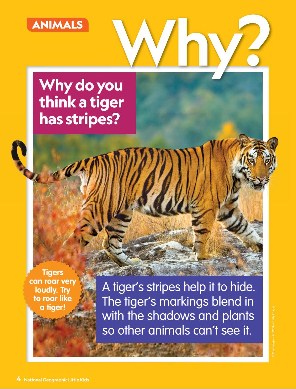 National Geographic Little Kids Preview Pages