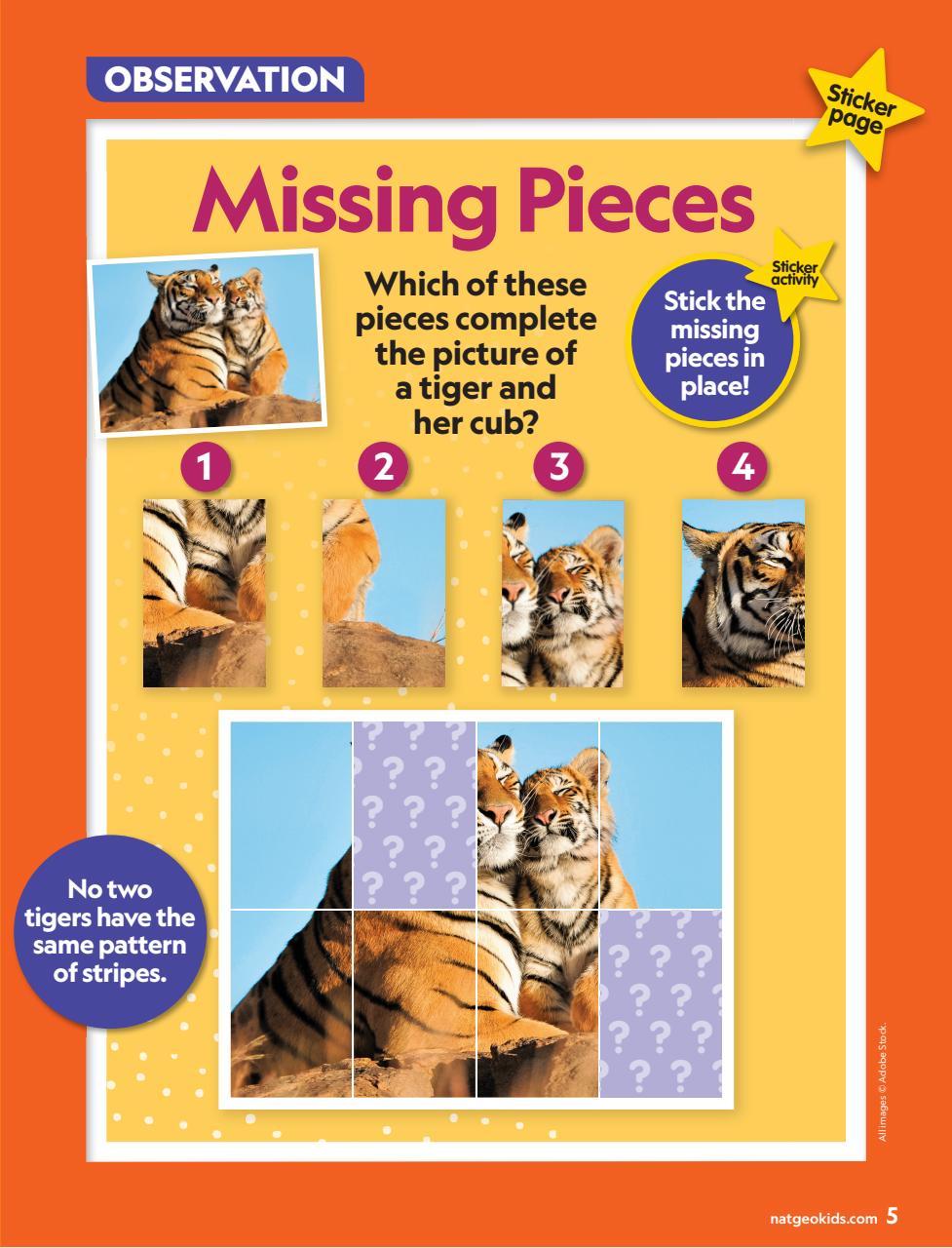 National Geographic Little Kids Preview Pages