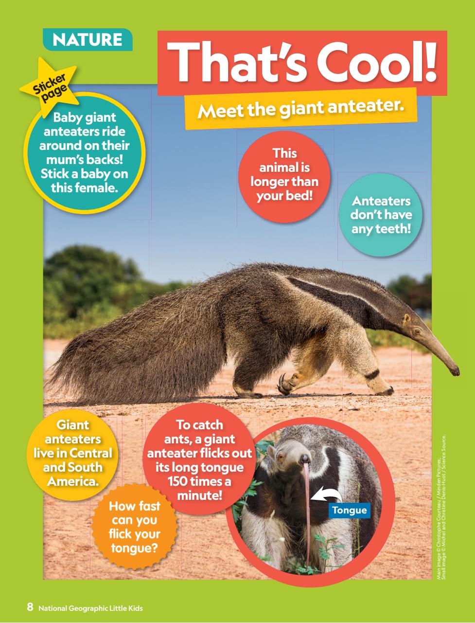 National Geographic Little Kids Preview Pages