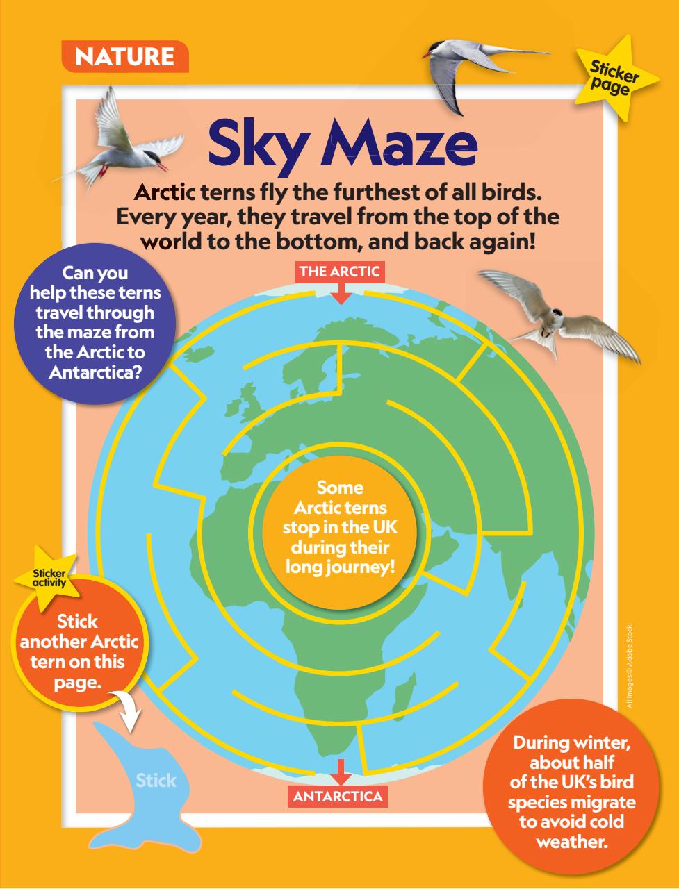 National Geographic Little Kids Preview Pages