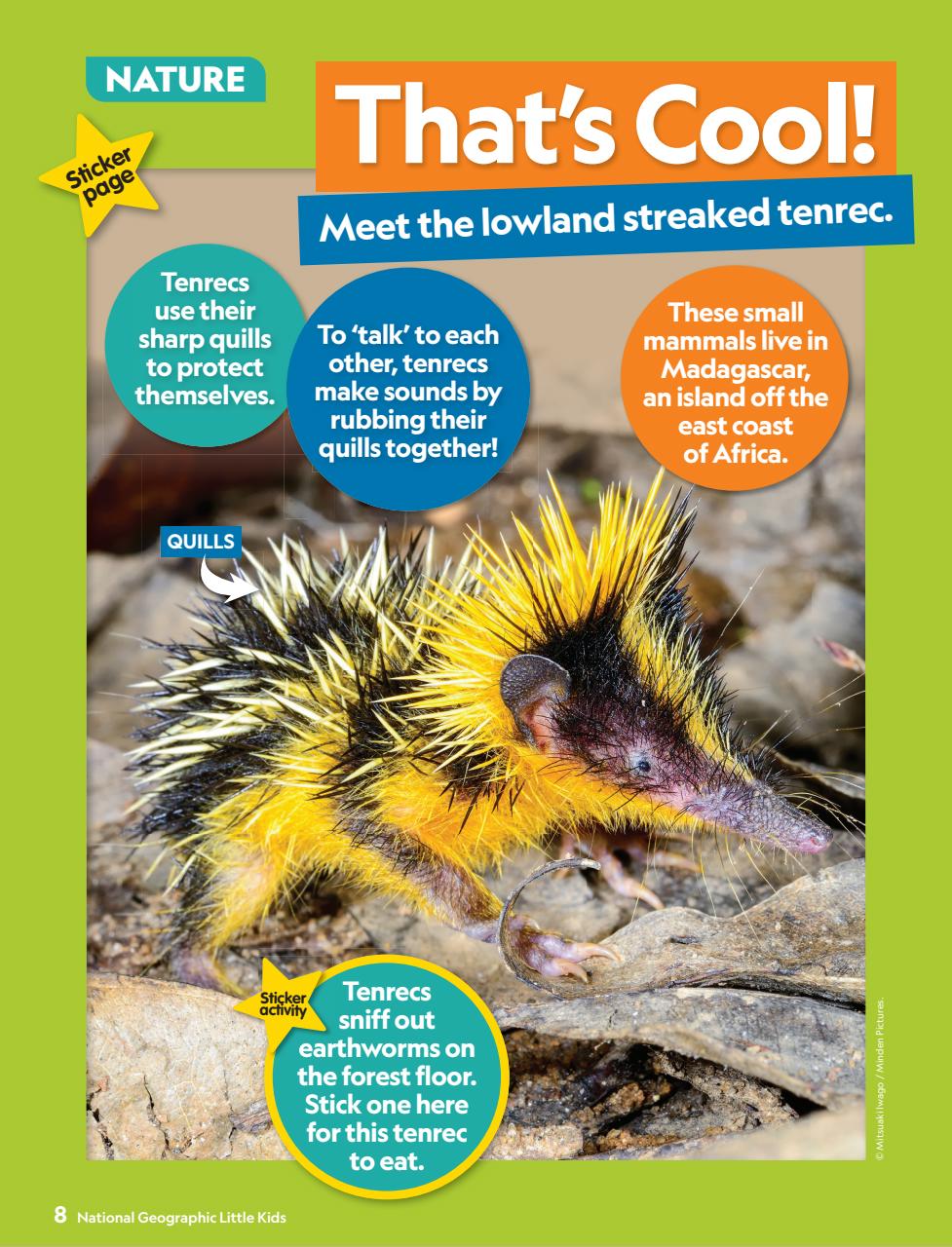 National Geographic Little Kids Preview Pages