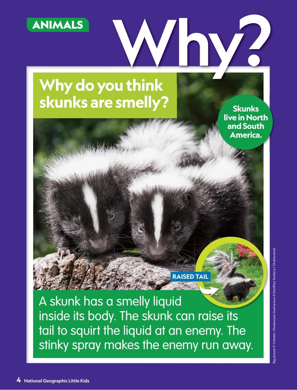 National Geographic Little Kids Preview Pages