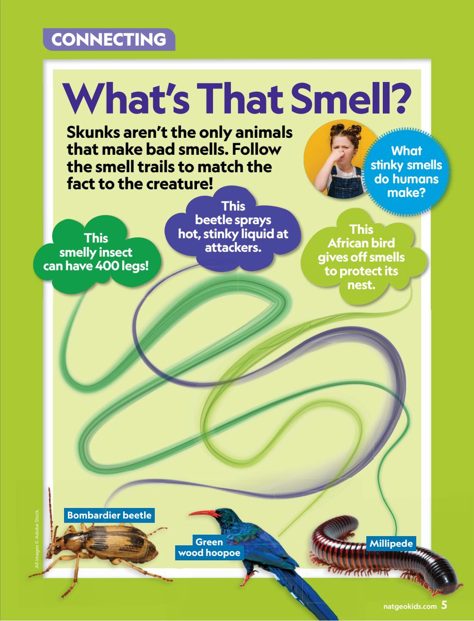 National Geographic Little Kids Preview Pages