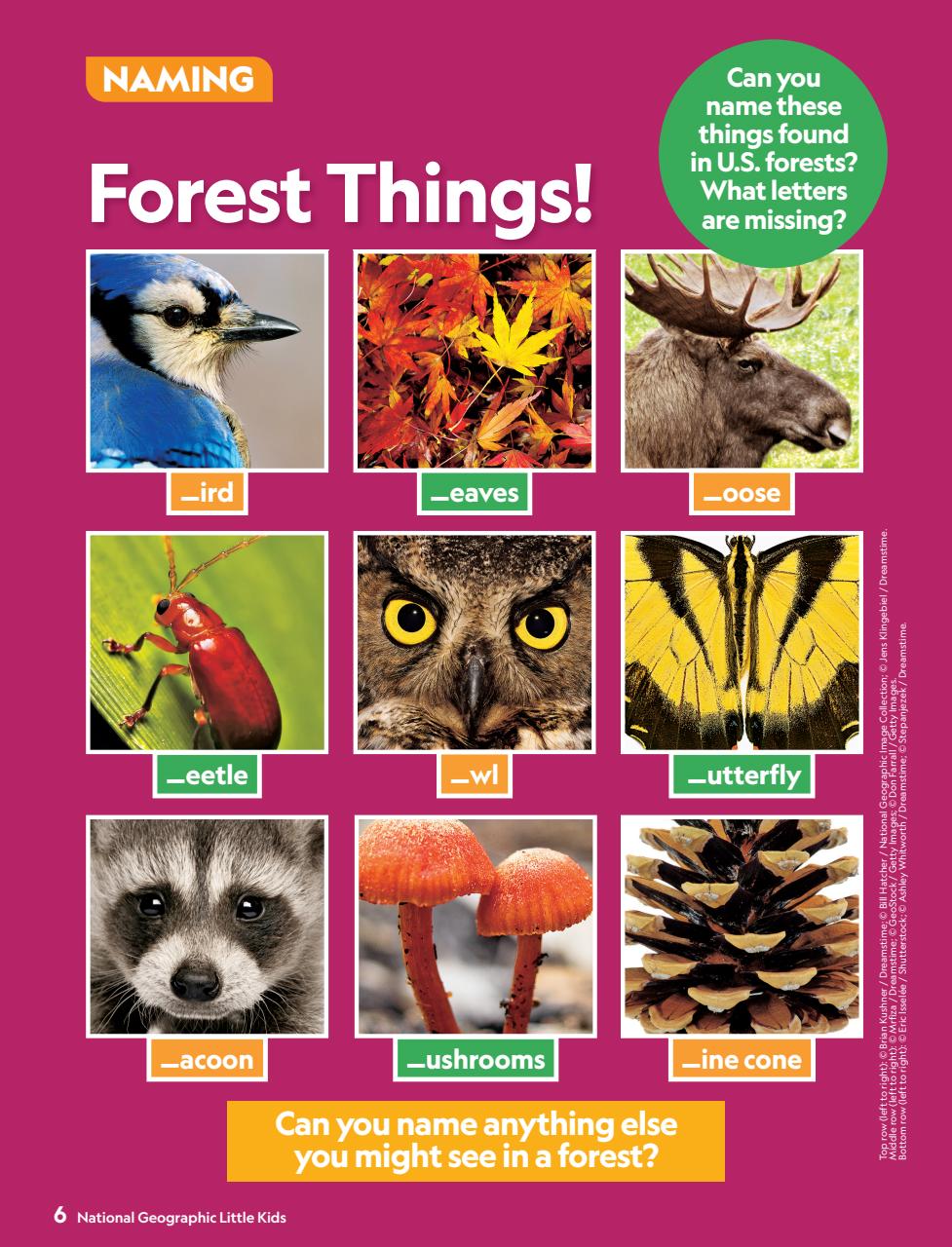 National Geographic Little Kids Preview Pages