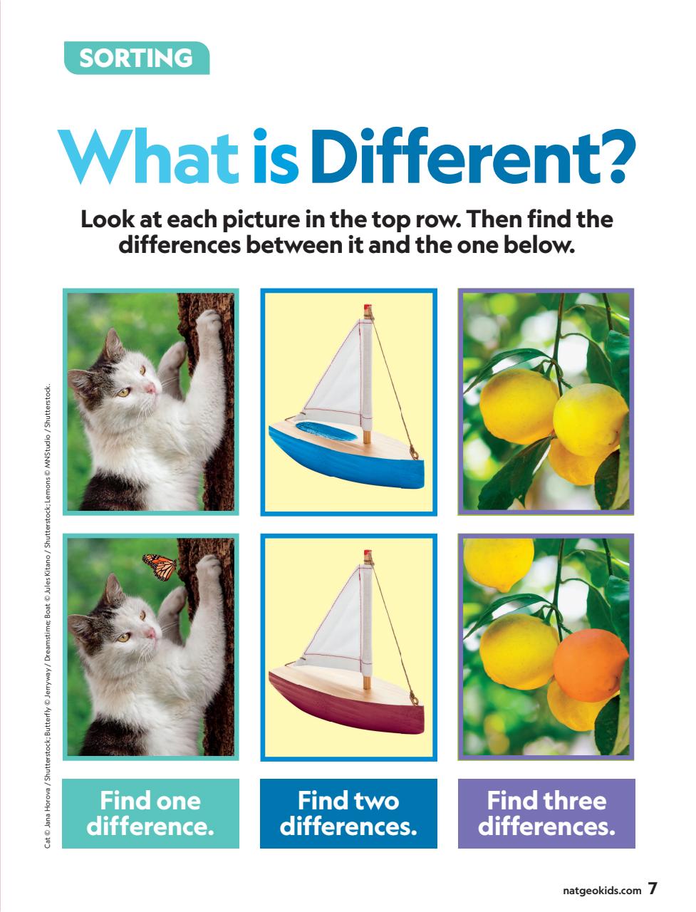 National Geographic Little Kids Preview Pages