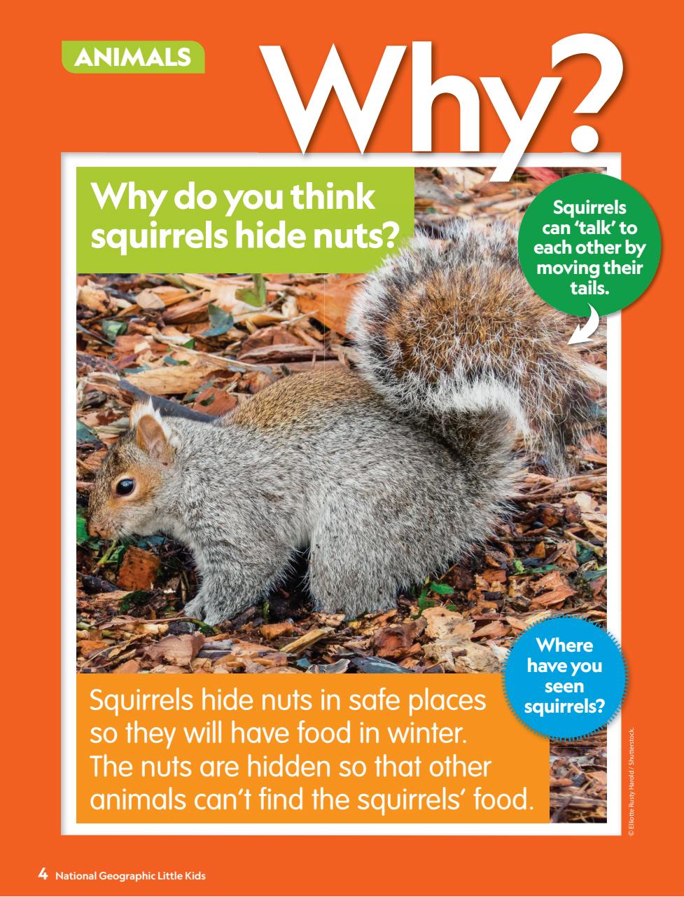 National Geographic Little Kids Preview Pages