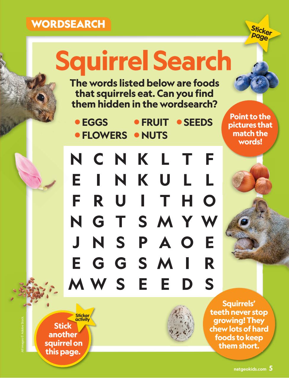 National Geographic Little Kids Preview Pages