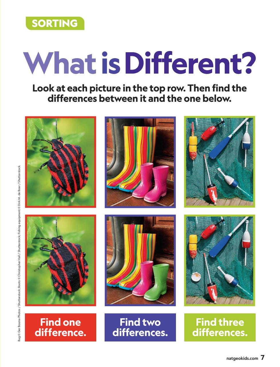 National Geographic Little Kids Preview Pages