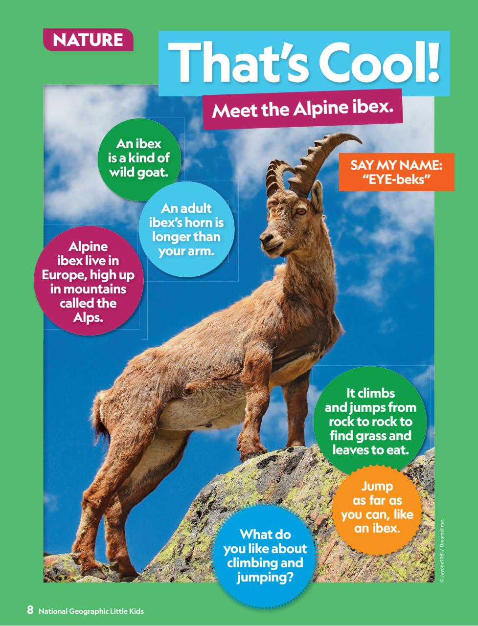 National Geographic Little Kids Preview Pages