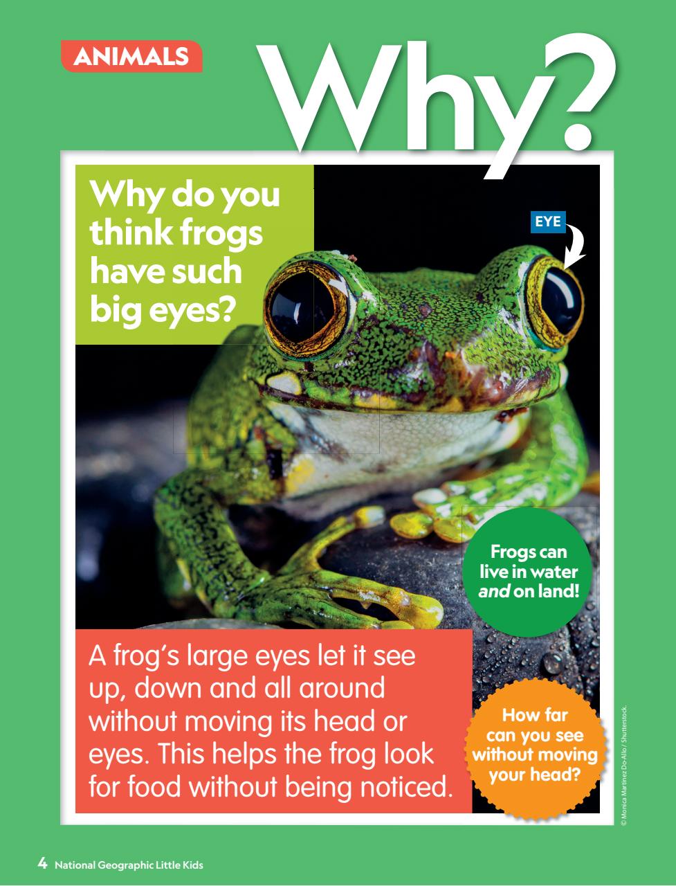 National Geographic Little Kids Preview Pages