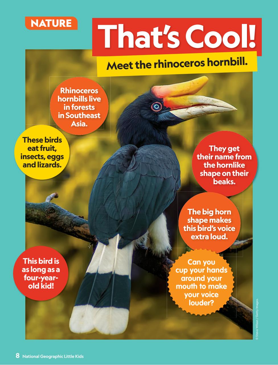 National Geographic Little Kids Preview Pages