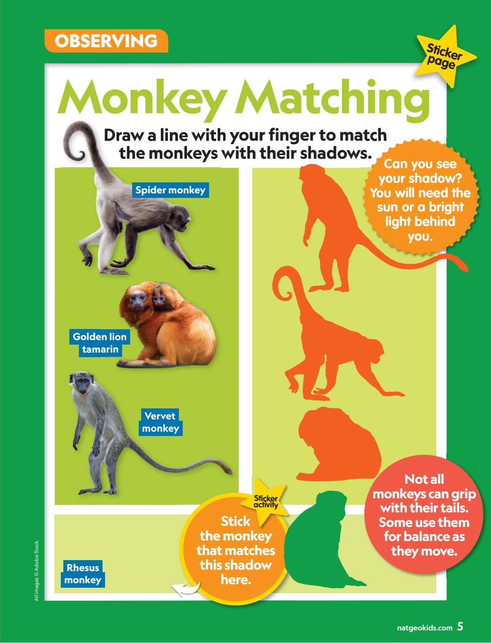 National Geographic Little Kids Preview Pages
