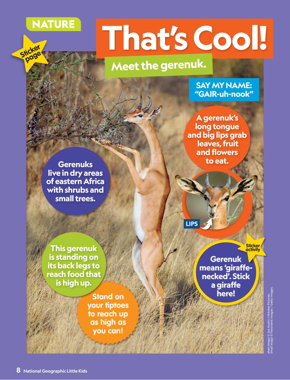 National Geographic Little Kids Preview Pages