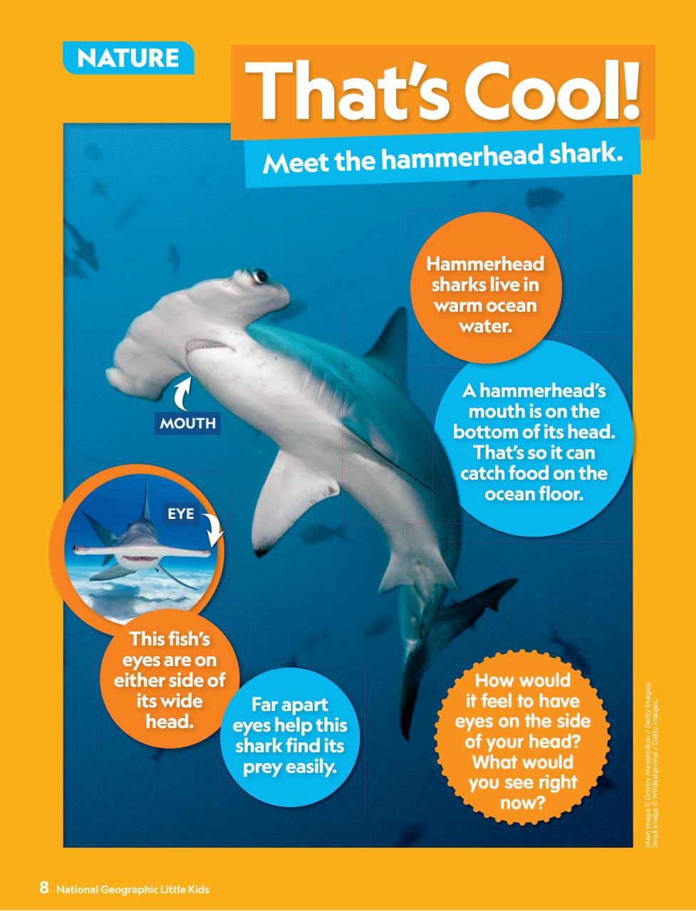 National Geographic Little Kids Preview Pages