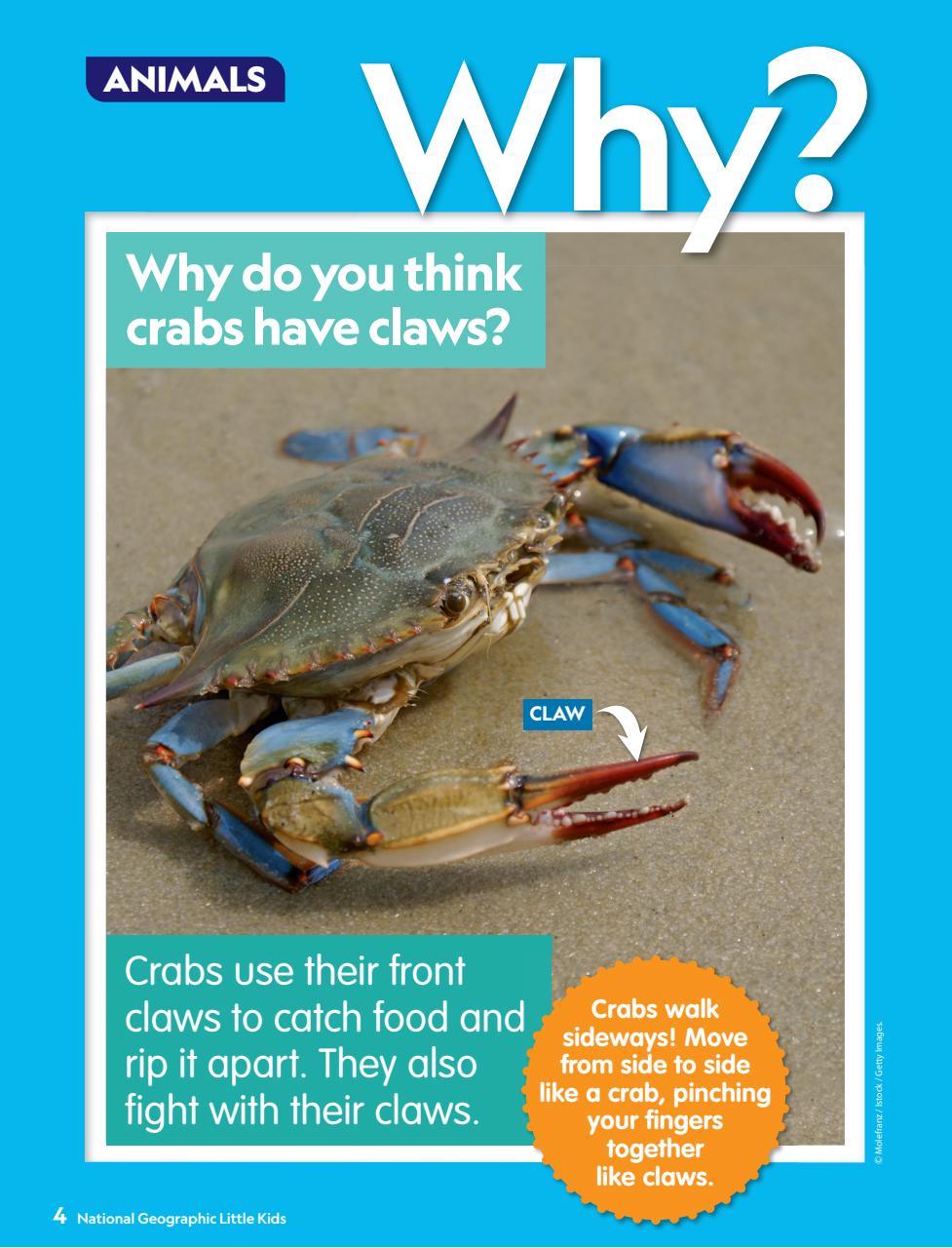 National Geographic Little Kids Preview Pages