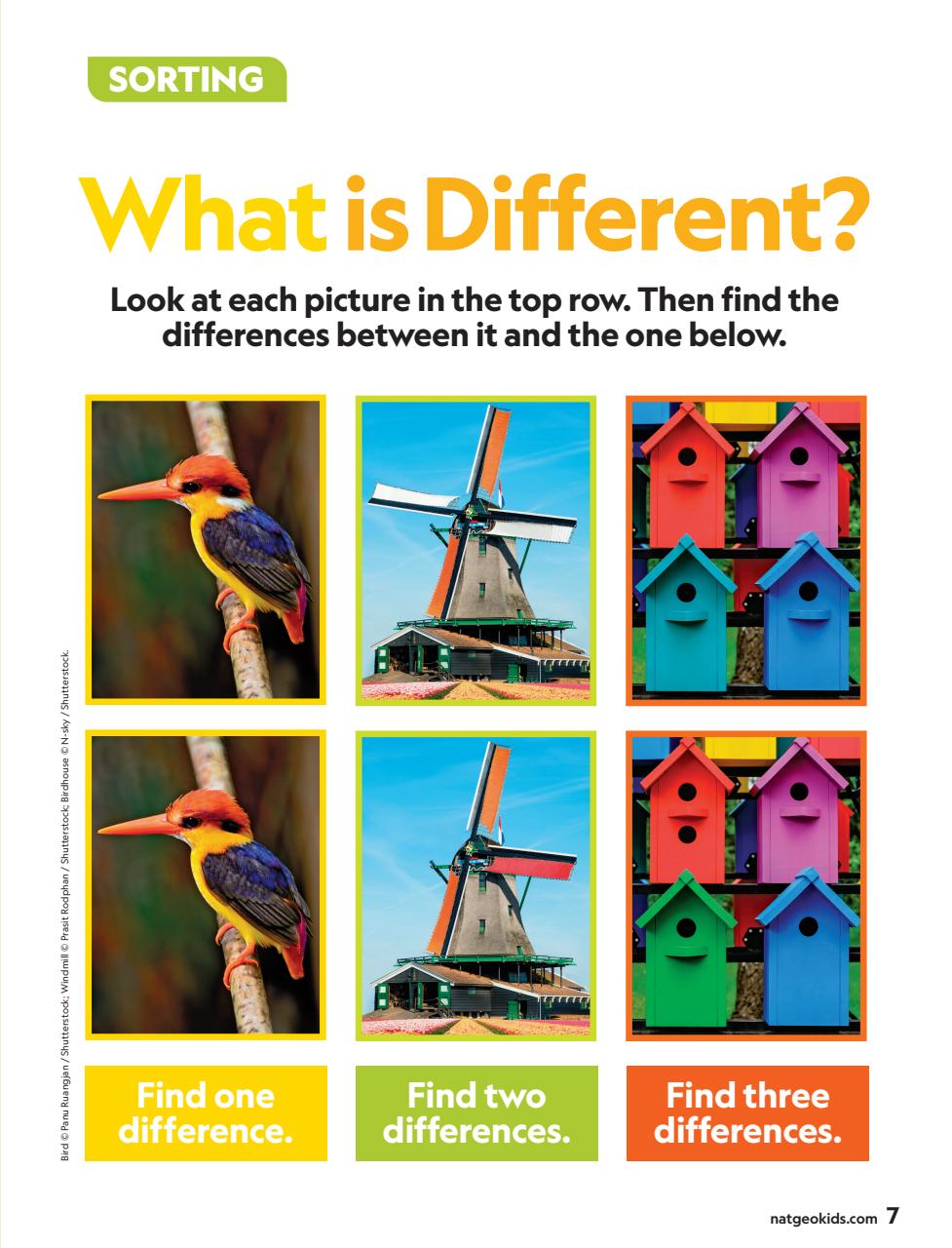 National Geographic Little Kids Preview Pages