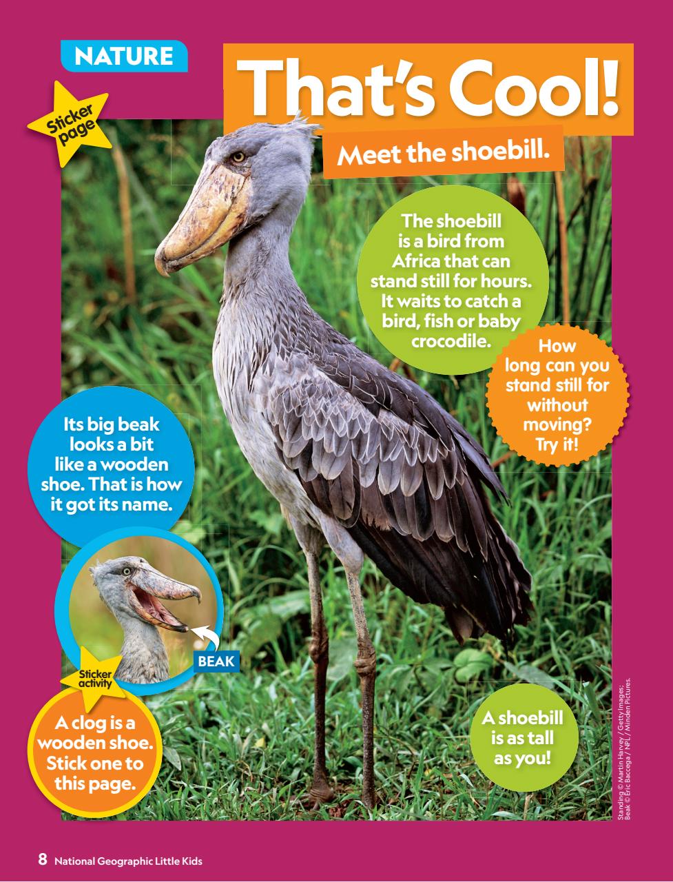 National Geographic Little Kids Preview Pages