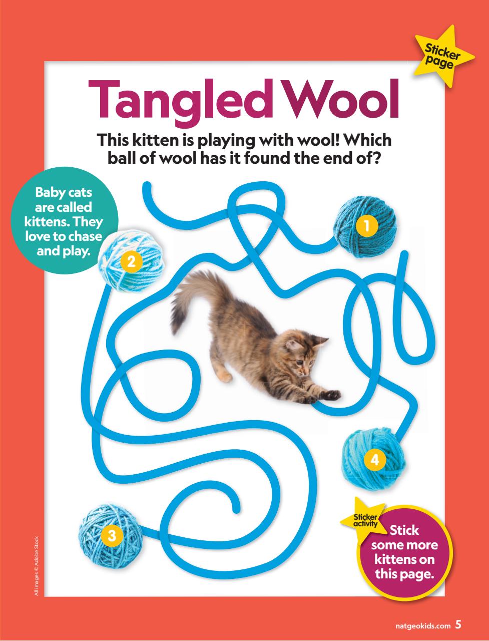 National Geographic Little Kids Preview Pages