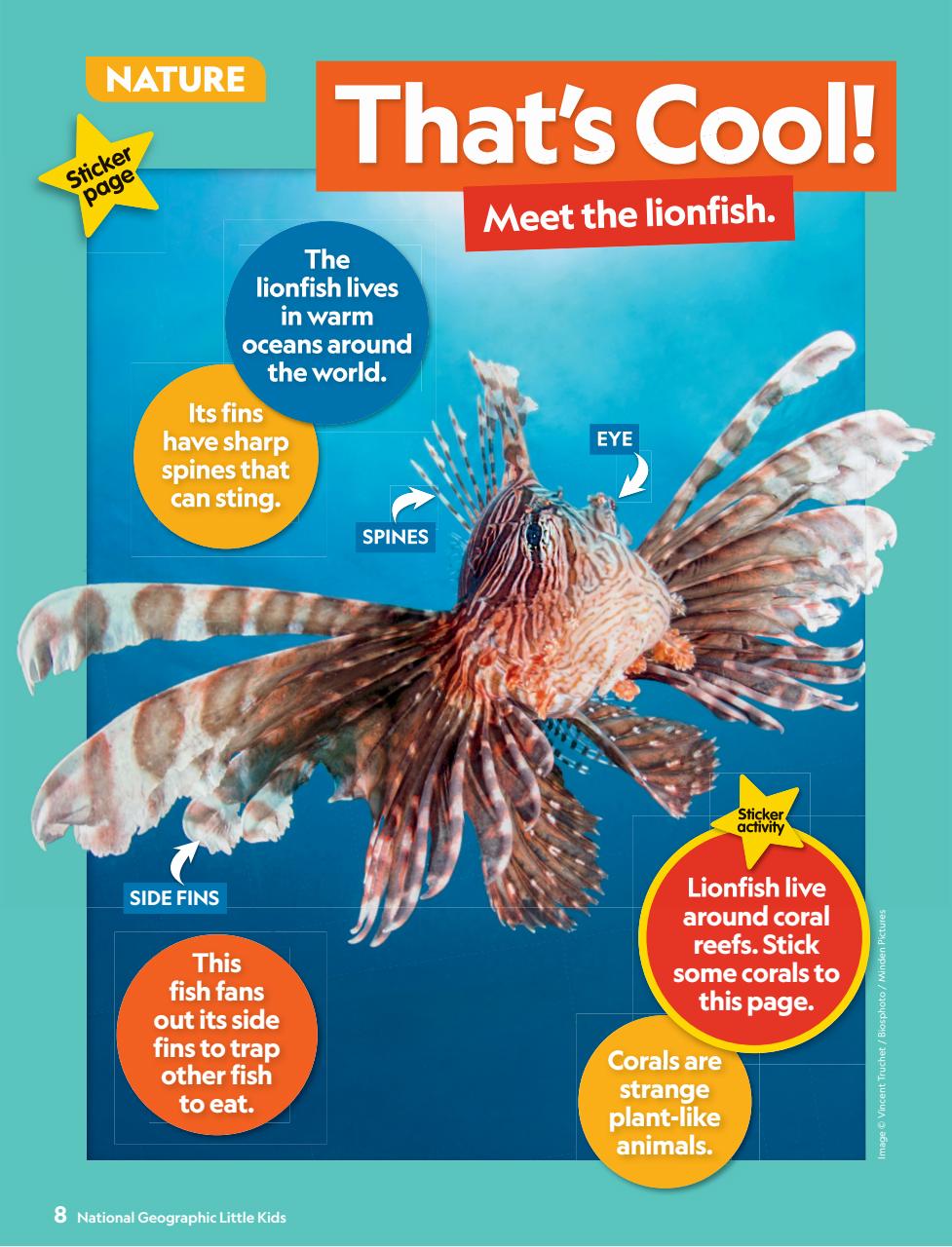 National Geographic Little Kids Preview Pages