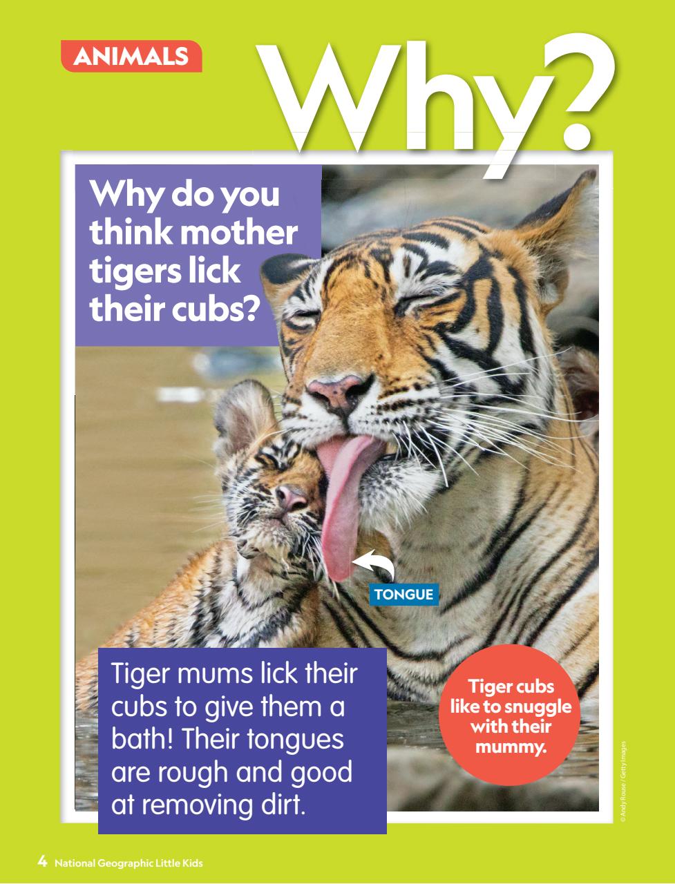 National Geographic Little Kids Preview Pages