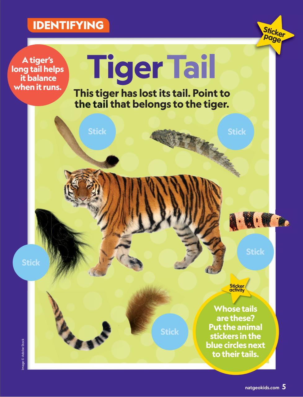 National Geographic Little Kids Preview Pages