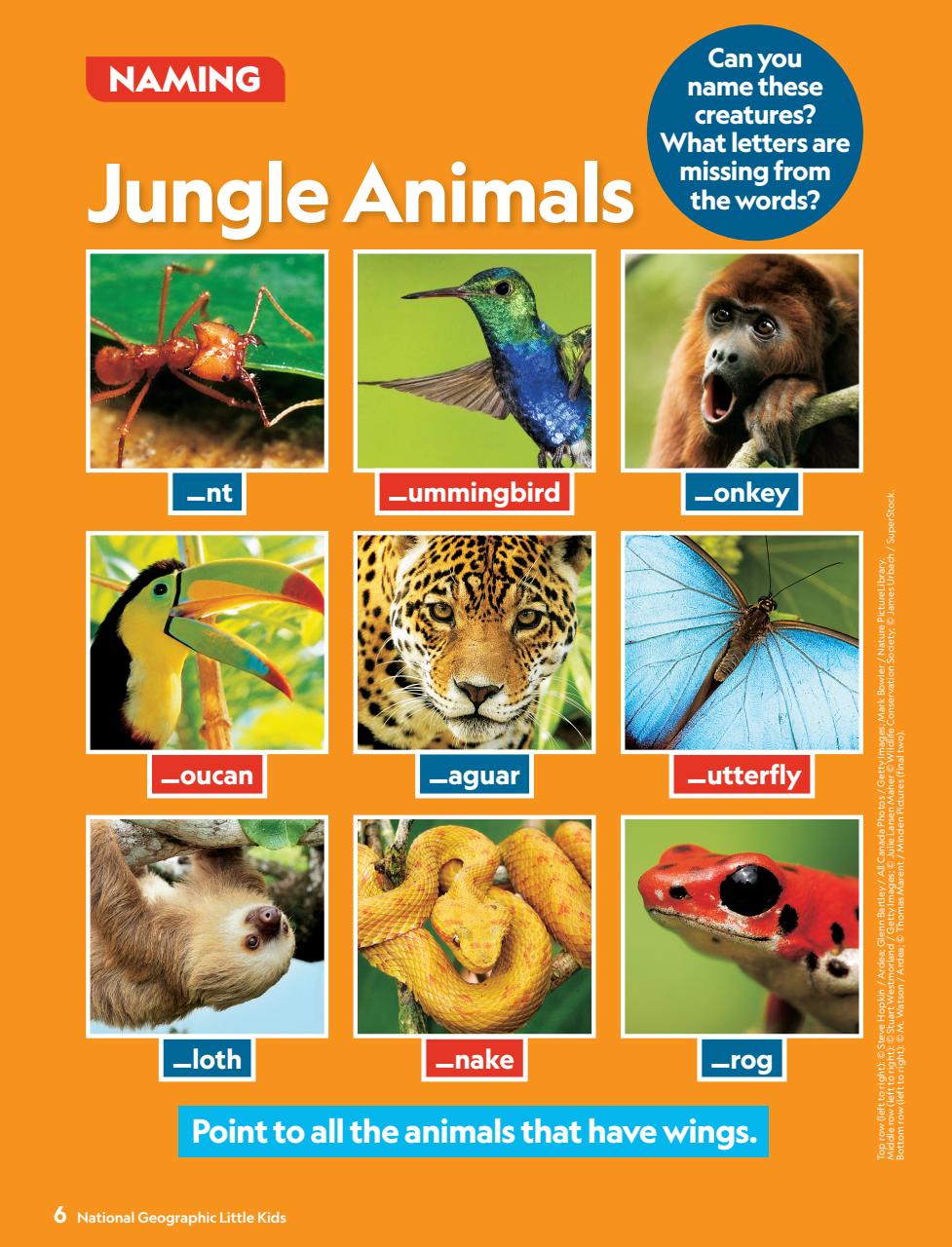 National Geographic Little Kids Preview Pages