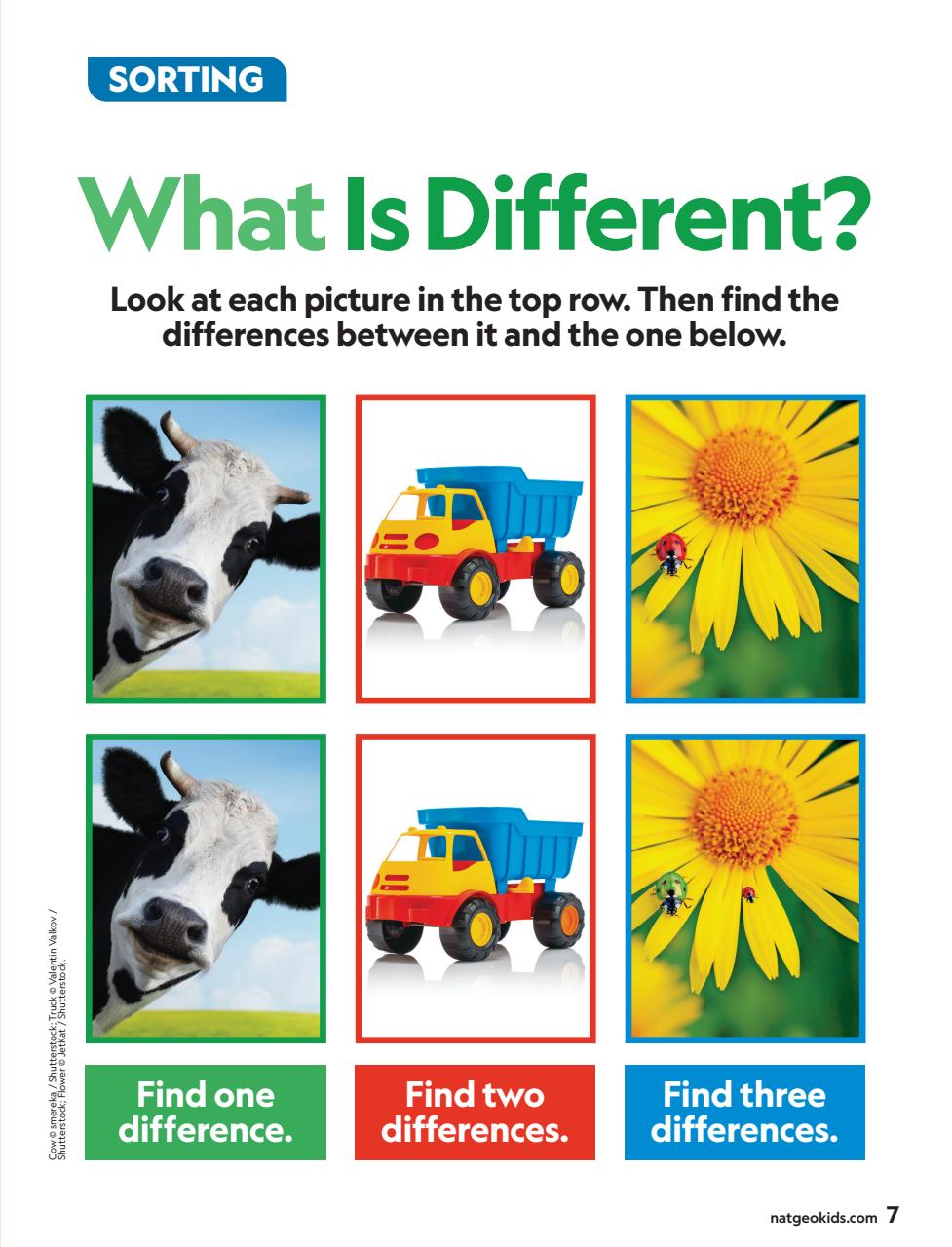 National Geographic Little Kids Preview Pages