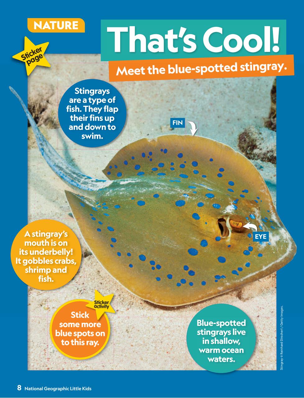 National Geographic Little Kids Preview Pages