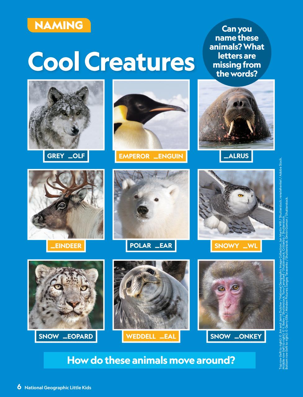 National Geographic Little Kids Preview Pages