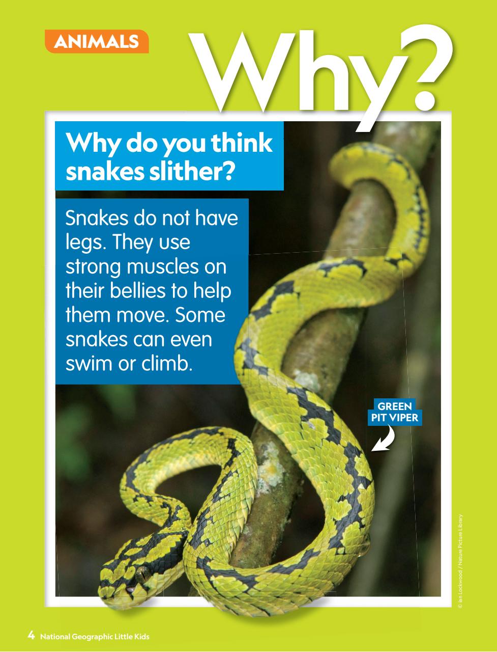 National Geographic Little Kids Preview Pages