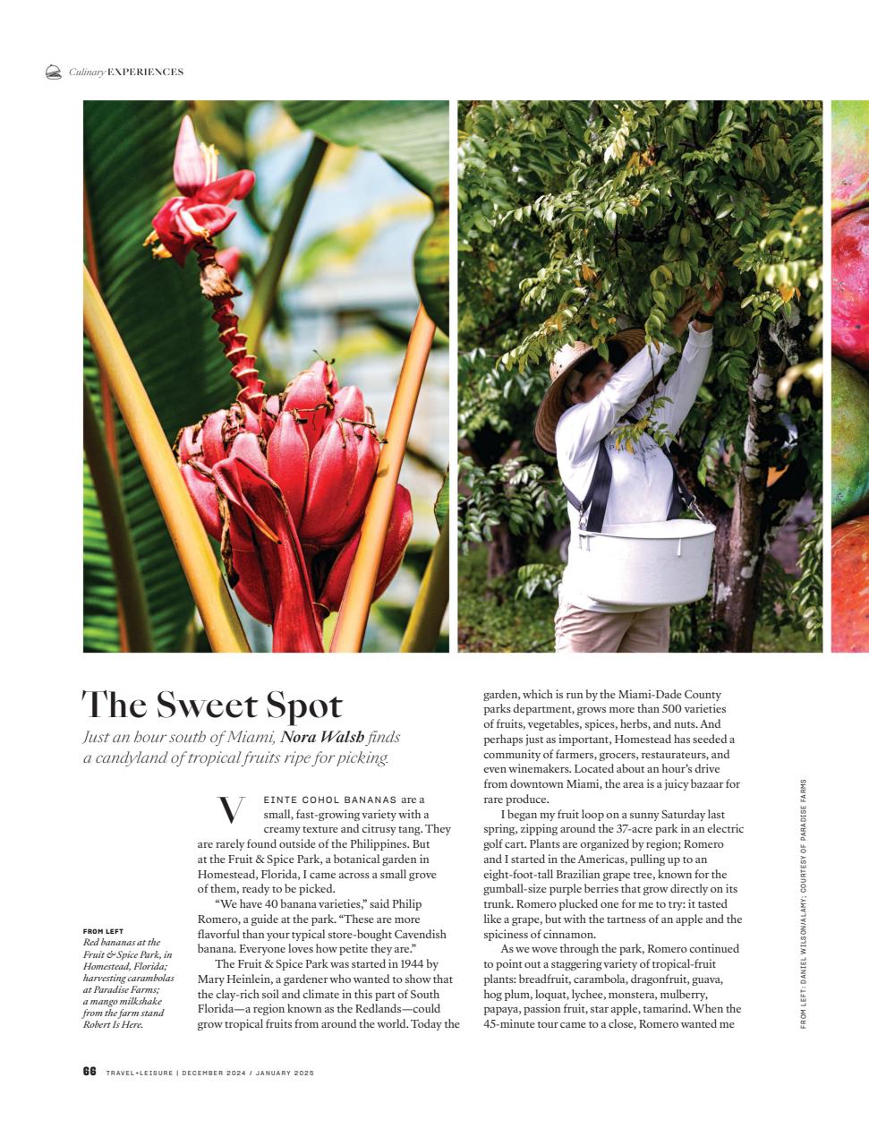 Travel + Leisure Preview Pages