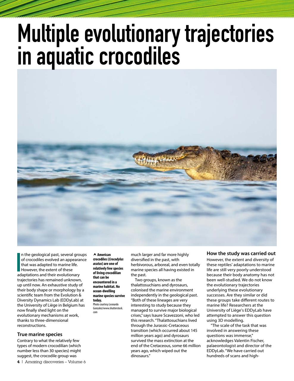 Practical Reptile Keeping Preview Pages