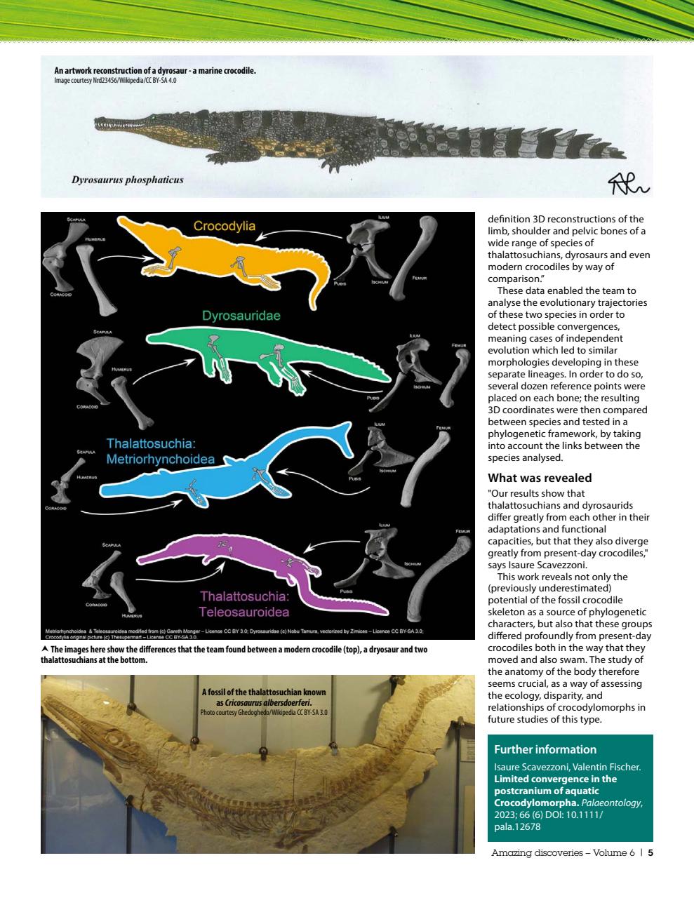Practical Reptile Keeping Preview Pages