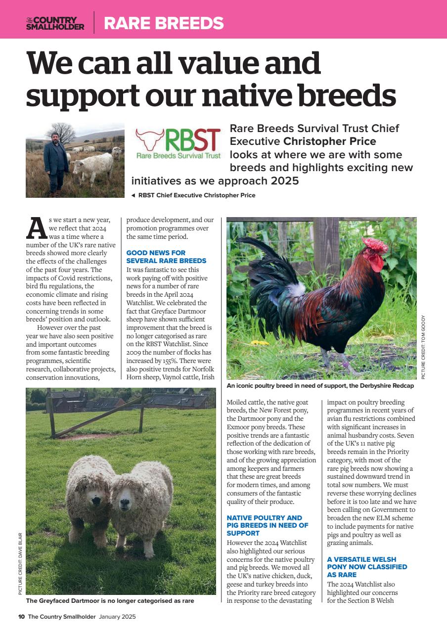 The Country Smallholder Preview Pages