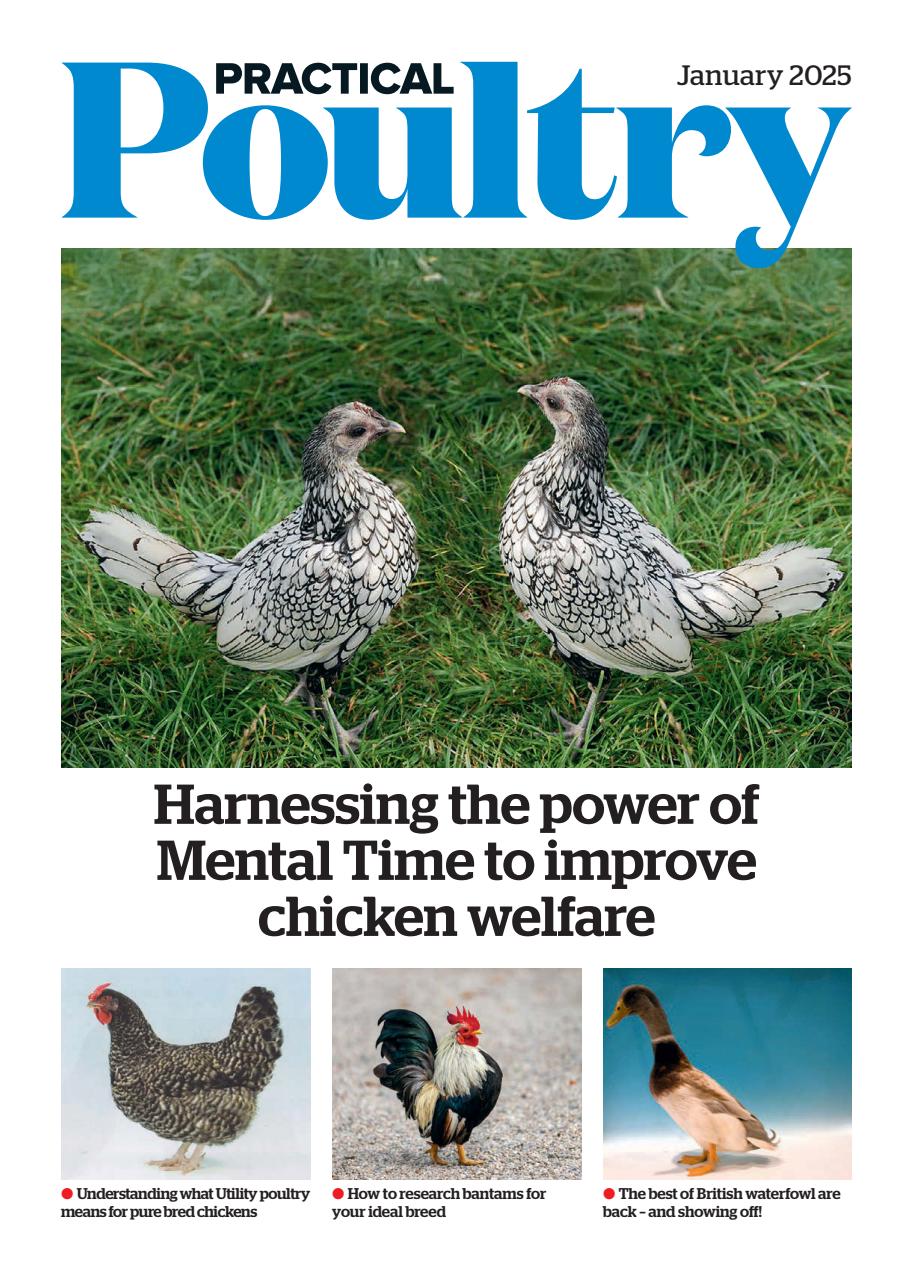 The Country Smallholder Preview Pages