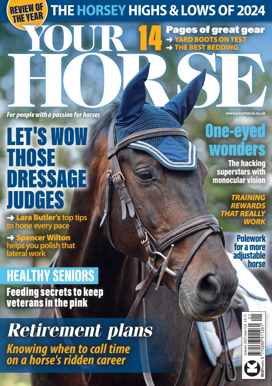 Your Horse Preview Pages