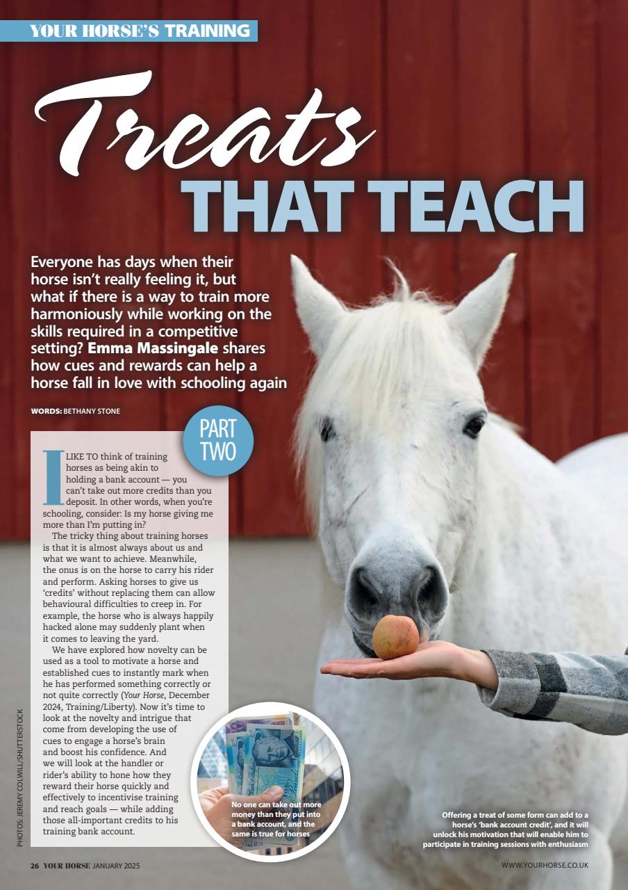 Your Horse Preview Pages