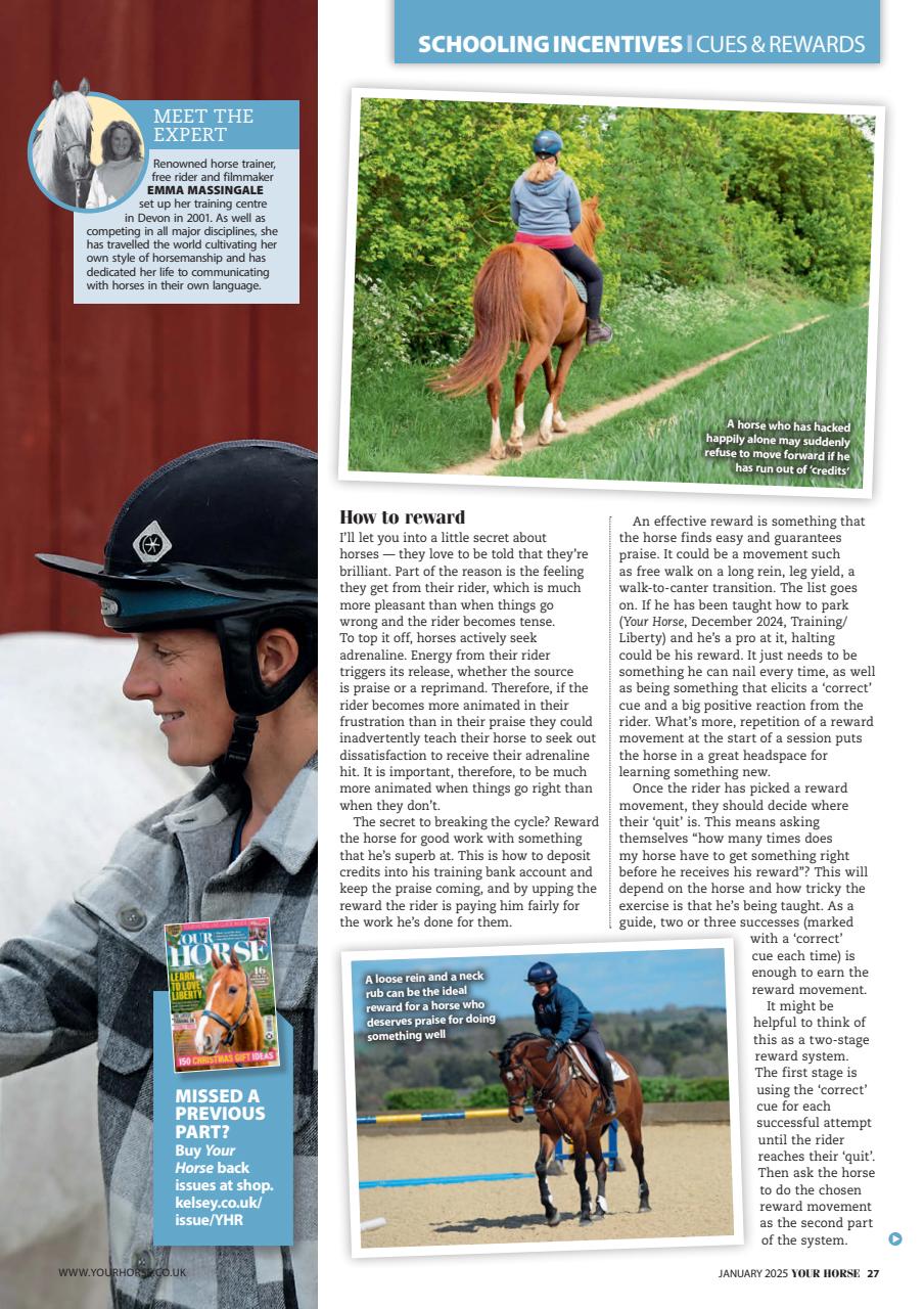 Your Horse Preview Pages