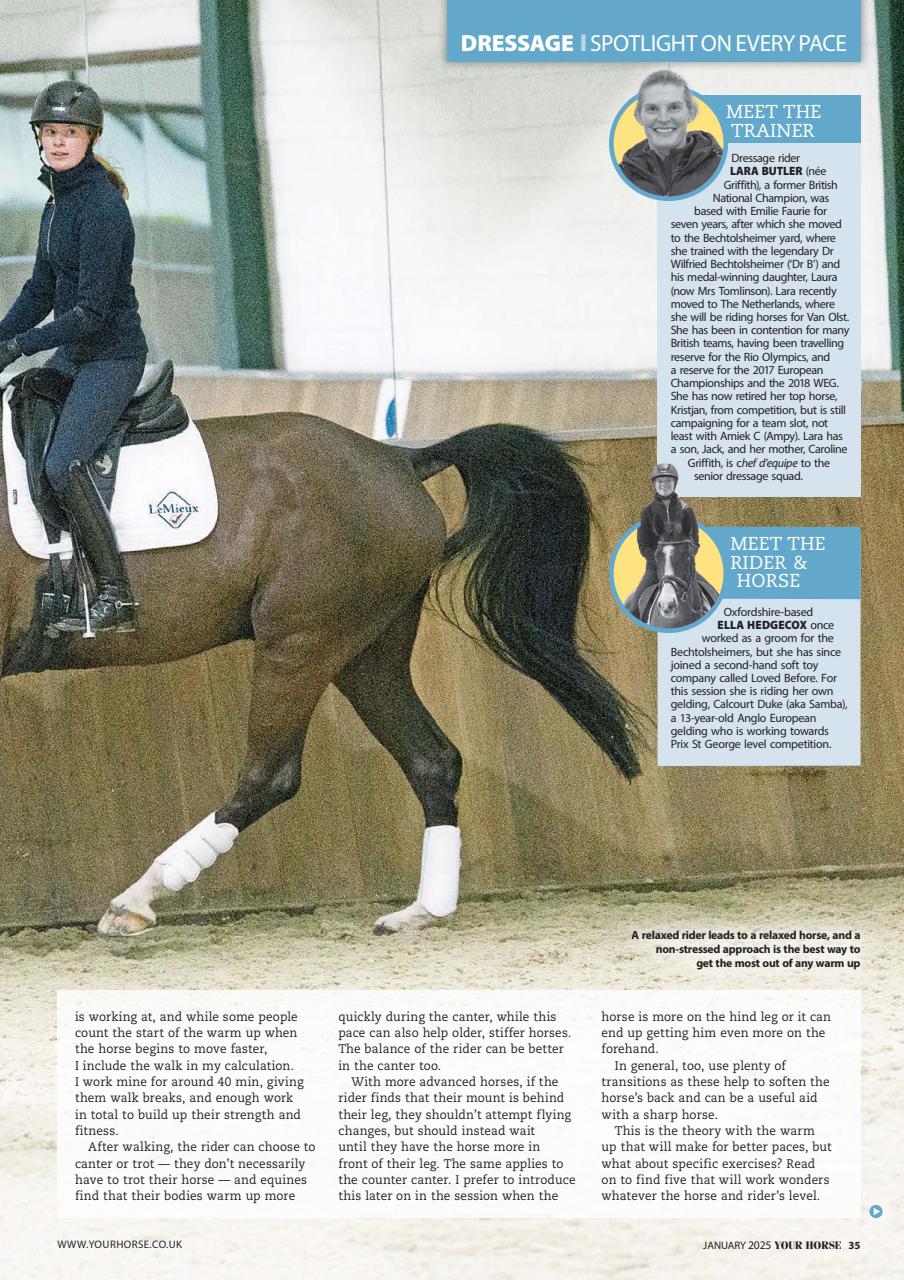 Your Horse Preview Pages