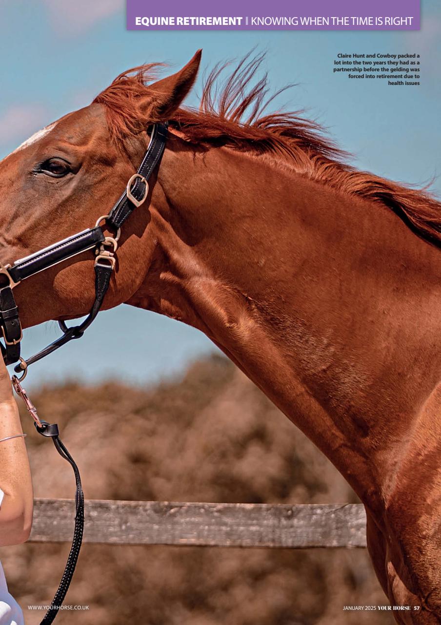 Your Horse Preview Pages